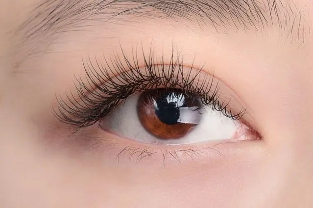 Serum dưỡng mi DHC Eyelash Tonic có tốt không? 2