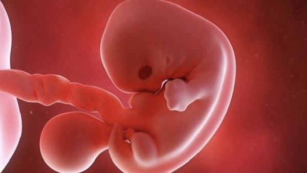 sinh-con-thanh-cong-sau-thai-luu-khoang-thoi-gian-nao-la-thich-hop-de-co-thai-sau-thai-luu  1