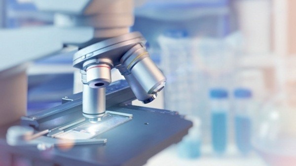 sinh-thiet-dai-trang-la-gi-ung-dung-cua-ky-thuat-sinh-thiet-dai-trang 4