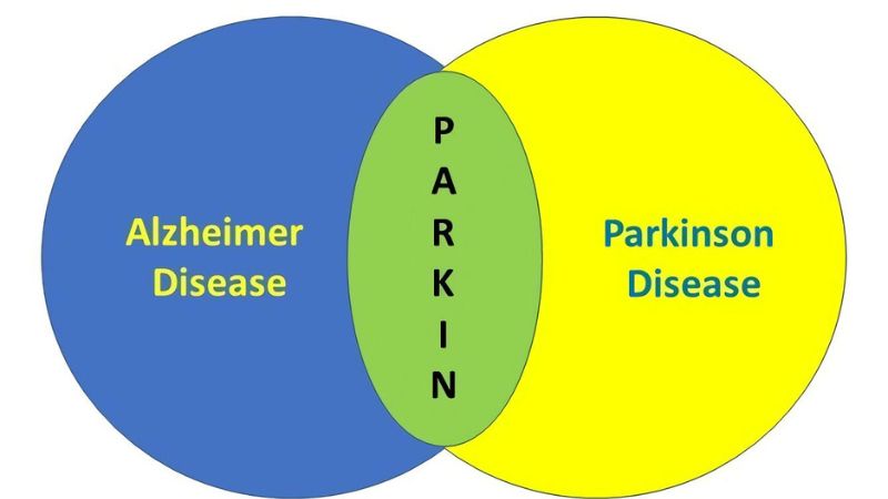 Bệnh Alzheimer được chẩn đoán thế nào? 3