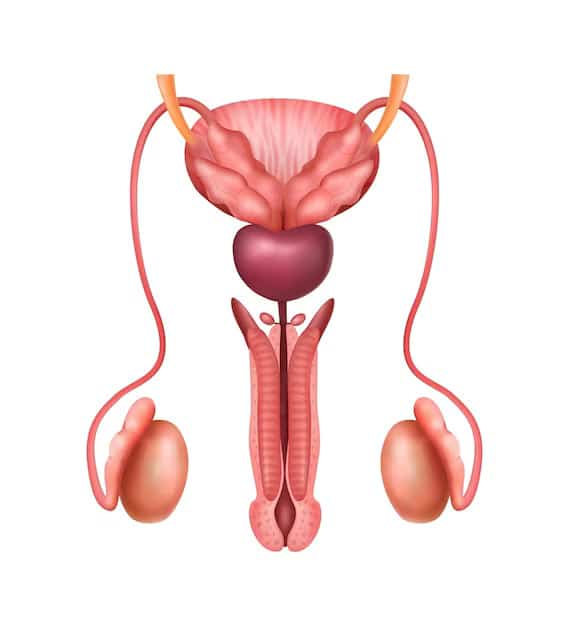 Bướu tinh hoàn có thực sự nguy hiểm?-2