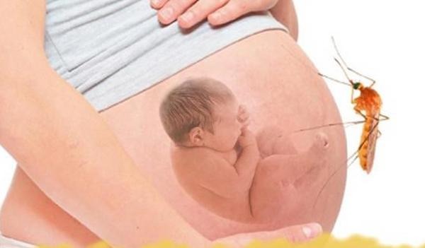 cac-loai-cay-duoi-muoi-duoi-con-trung-hieu-qua 1.jpg