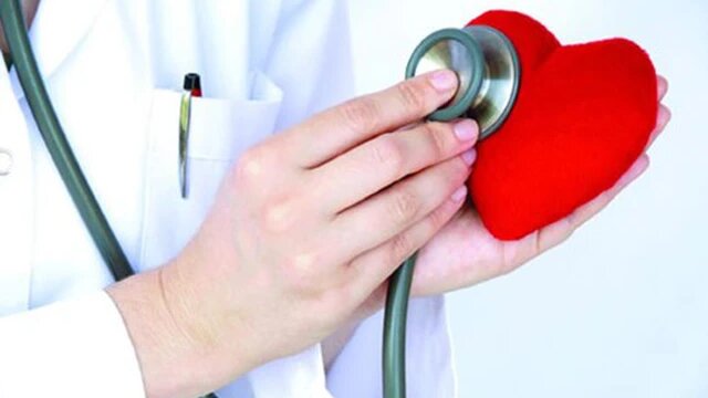 cau-tao-chuc-nang-va-hoat-dong-cua-co-tim 5.jpg