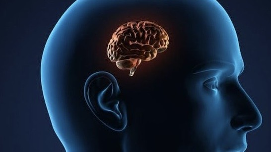 benh-teo-nao-o-nguoi-tre-tuoi-noi-am-anh-tham-lang-va-hoi-chuong-canh-bao 1