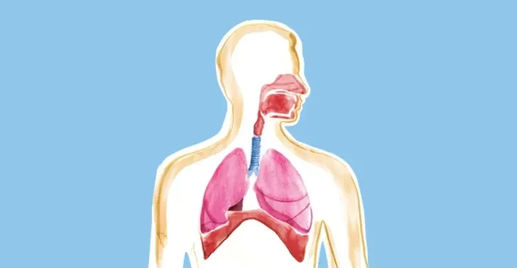 hit-tho-oxygen-nguyen-chat-co-loi-hay-hai-cho-co-the 2