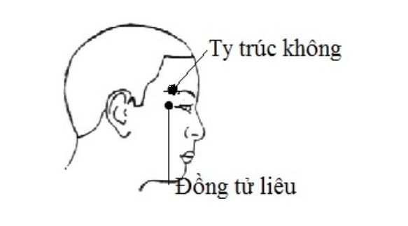 Huyệt Đồng Tử Liêu ở đâu? Cách xác định vị trí huyệt Đồng Tử Liêu 1