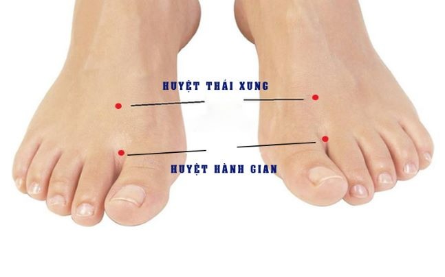 Huyệt Hành Gian ở vị trí nào trên cơ thể? Châm cứu huyệt Hành Gian điều trị bệnh hô hấp