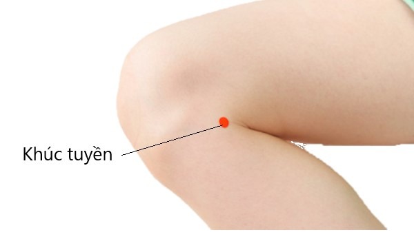 Huyệt Khúc Tuyền là gì? Chức năng của huyệt Khúc Tuyền trong y học cổ truyền