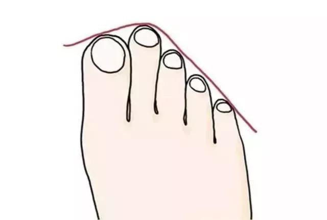 Kể tên các ngón chân và đặc điểm của chúng 2