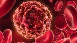 Yalangoch ayollar olomon