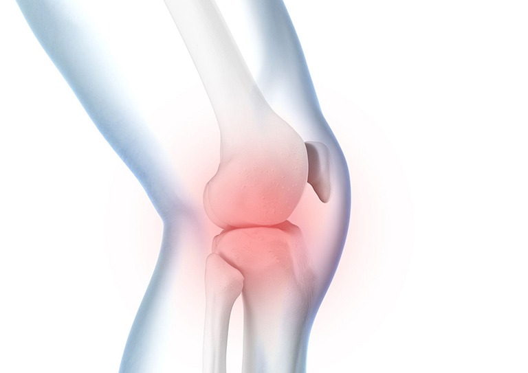 khop-la-gi-co-bao-nhieu-khop-trong-co-the-nguoi 1.jpg