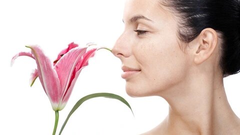 Khứu giác là gì? Những bệnh lý nào ảnh hưởng đến khứu giác? 1