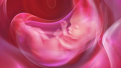 Nước ối và sự quan trọng đối với sự phát triển của thai nhi 1