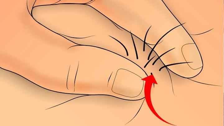 moc-long-o-hau-mon-co-sao-khong 2