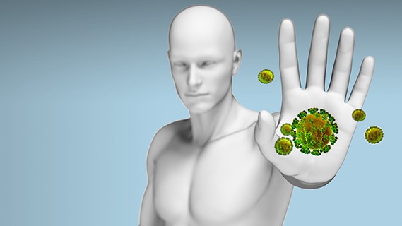 Cây ngải tây: Loại cây quen thuộc có nhiều tác dụng chữa bệnh 6