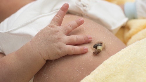 sau-rung-ron-bi-chay-dich-co-nguy-hiem-khong 1