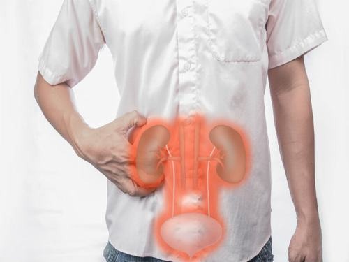 sieu-am-dong-mach-than-chan-doan-benh-ly 2.jpg