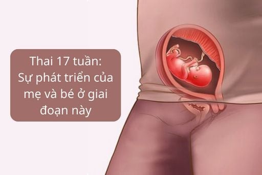 Thai 17 tuần phát triển như thế nào là bình thường? 1