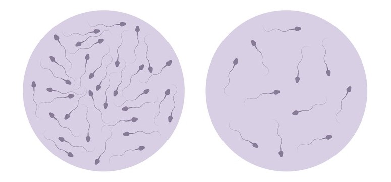 Tinh trùng yếu có thụ thai được không? Các biện pháp cải thiện chất lượng tinh trùng 3