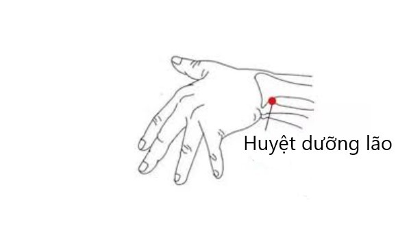 vi-tri-va-tac-dung-cua-huyet-duong-lao 1.jpg