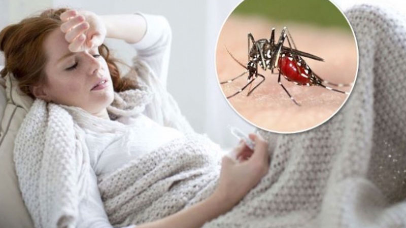 Sốt rét là gì? Sốt rét lây mạnh vào giai 1 đoạn nào?