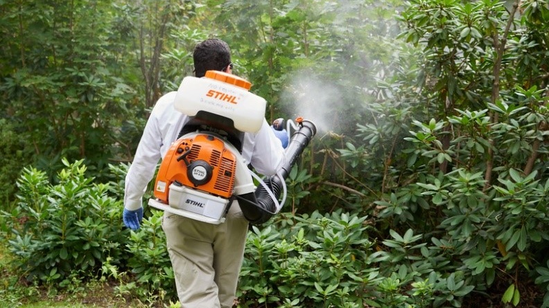 Sốt rét uống panadol có được không? Những điều cần biết 4