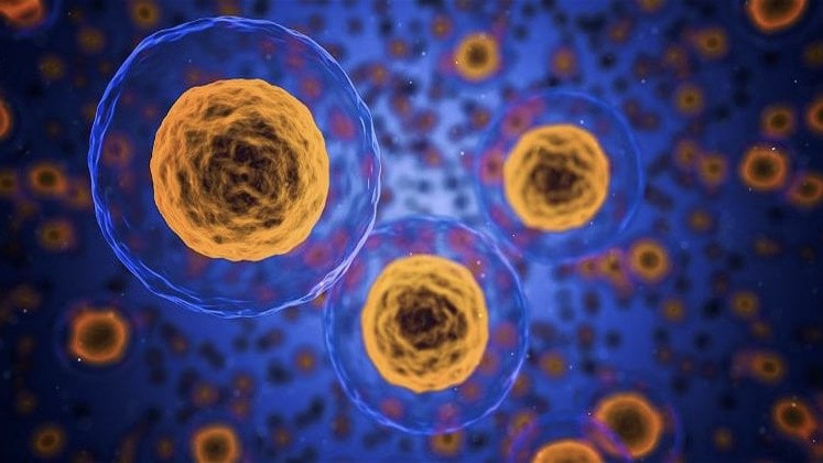 su-lao-hoa-te-bao-truy-tim-chia-khoa-cho-tuoi-tho-va-suc-khoe (1).jpg