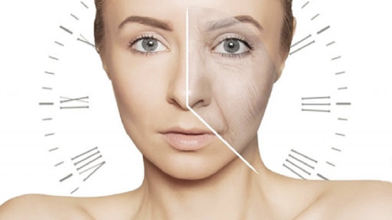 su-lao-hoa-te-bao-truy-tim-chia-khoa-cho-tuoi-tho-va-suc-khoe (3).jpg