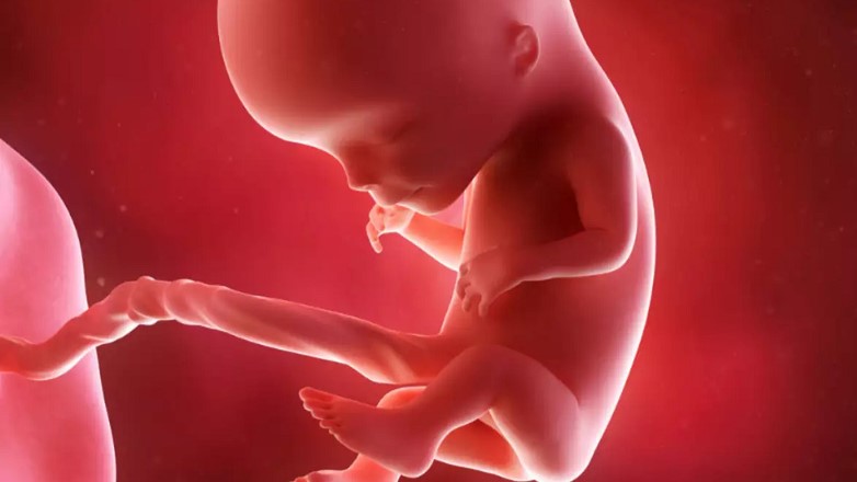 Sự phát triển của thai 12 tuần tuổi và thay đổi trong cơ thể mẹ 1