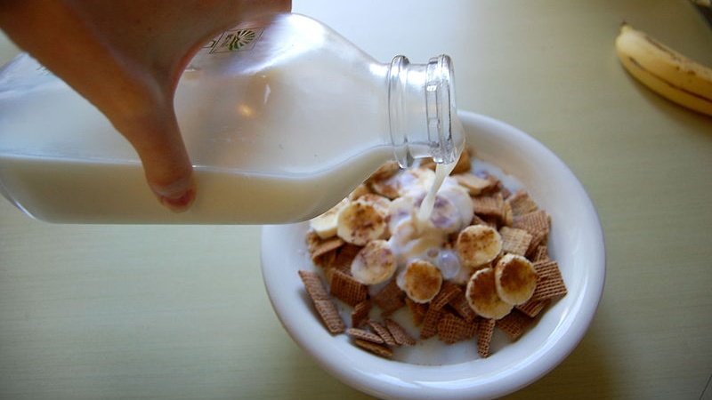 Sữa gầy là gì? Tìm hiểu thông tin về sữa gầy 4