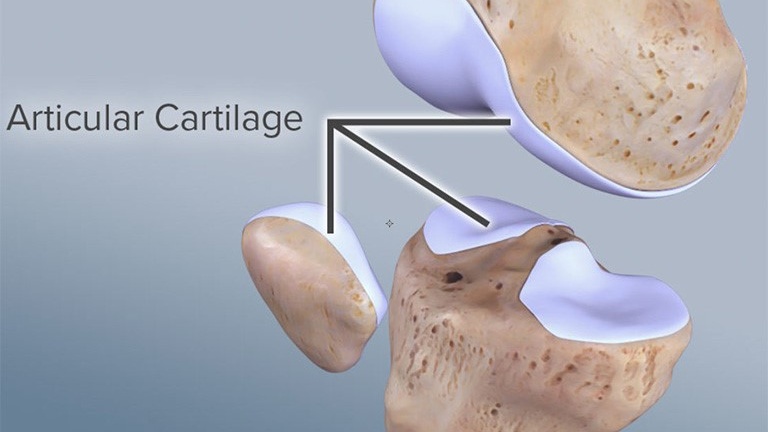 sun-xuong-co-tac-dung-gi-nhung-dieu-can-biet-ve-sun-xuong 1