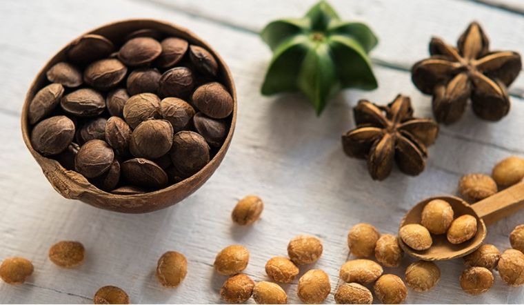 tac-dung-cua-hat-sachi-co-tot-cho-ba-bau-khong 1.jpg