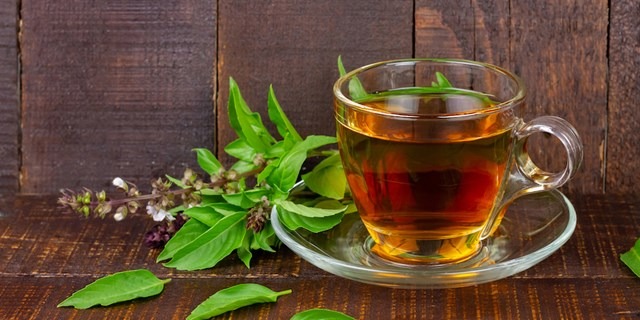 Tác dụng của húng quế trị hen suyễn như thế nào? 2