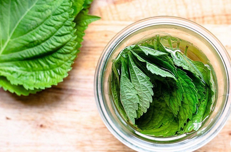 Tác dụng của rau kinh giới làm đẹp da tự nhiên an toàn, hiệu quả 1