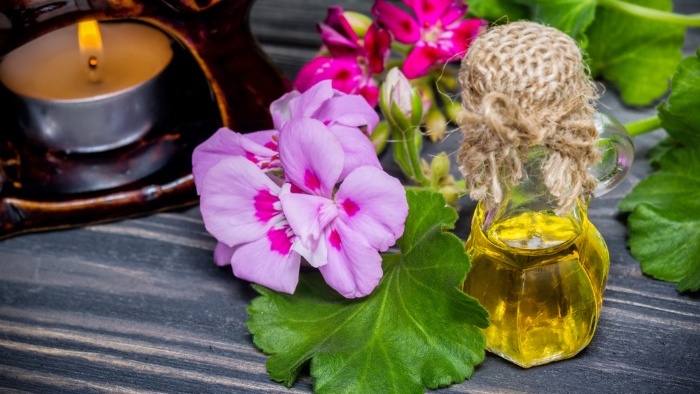 Tác dụng của tinh dầu phong lữ là gì? 2