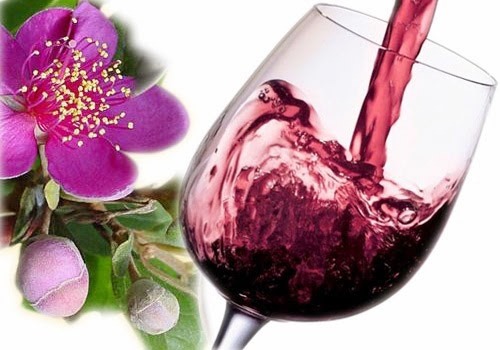 Rượu sim mang lại nhiều lợi ích đối với sức khỏe