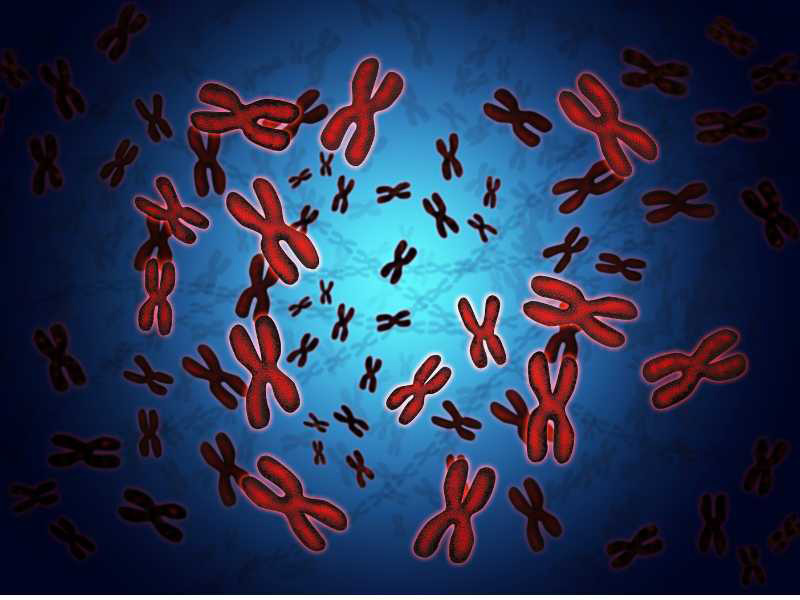 Xét nghiệm NIPT 4 có thể sàng lọc các bất thường nhiễm sắc thể ngay từ giai đoạn đầu sau sinh