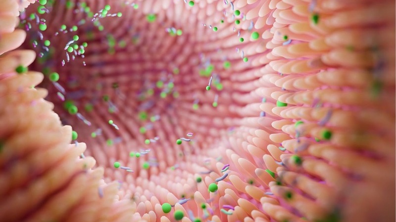 Tăng nhu động ruột: Nguyên nhân, triệu chứng và cách điều trị 1