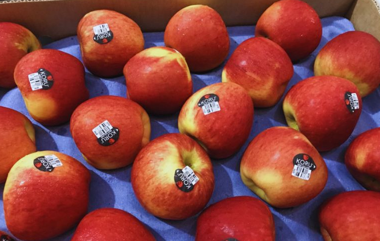 Táo Koru là táo gì? Các lợi ích dinh dưỡng mà táo Koru mang lại 4