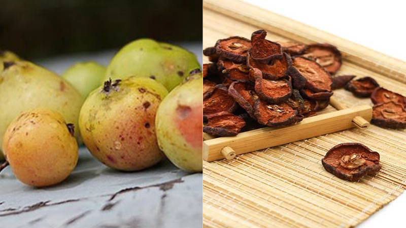 Táo mèo: Đặc điểm sinh học, lợi ích, cách dùng và một số lưu ý 3