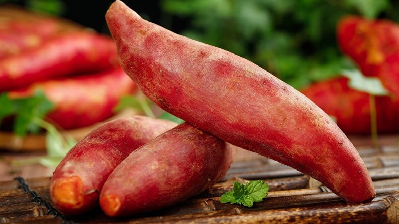 Tẩy nốt ruồi có được ăn khoai lang không? Nên và không nên ăn gì? 1