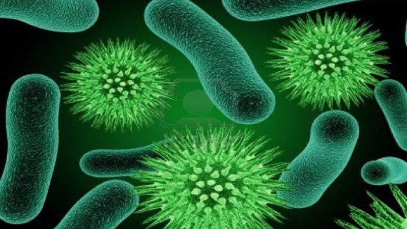 Tdap vaccine là gì và tầm quan trọng với trẻ sơ sinh 1