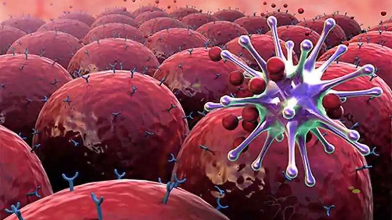 te-bao-ung-thu-chet-o-nhiet-do-bao-nhieu 1.jpg