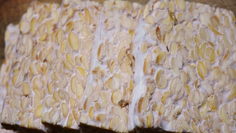 Tempeh là gì? Tác dụng và một số lưu ý khi dùng? 1