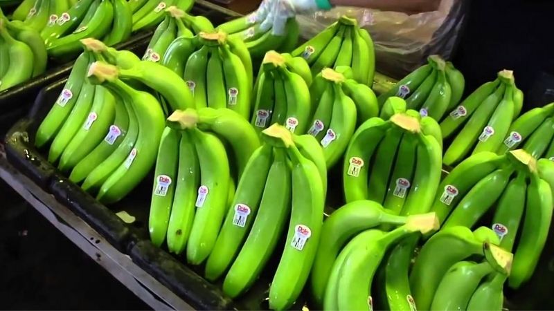 Thắc mắc: Lang ben trắng là bị gì? Cách điều trị lang ben trắng 5