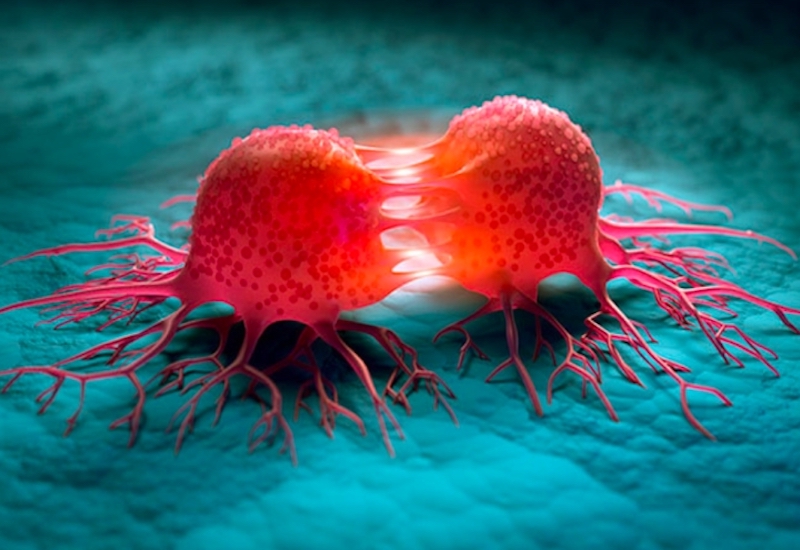 Thắc mắc: Tế bào ung thư phát triển như thế nào? 1