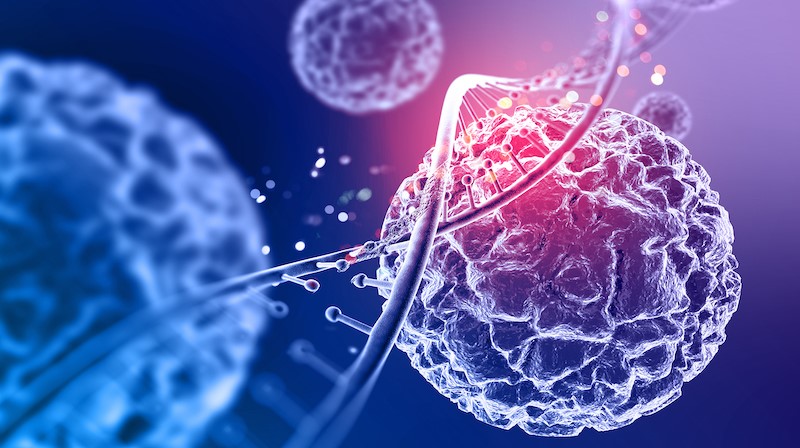 Thắc mắc: Tế bào ung thư phát triển như thế nào? 3