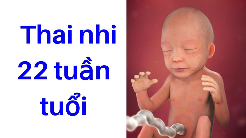 Thai 22 tuần nặng bao nhiêu? Các cách tính cân nặng thai nhi theo tuần để mẹ bầu theo dõi 5