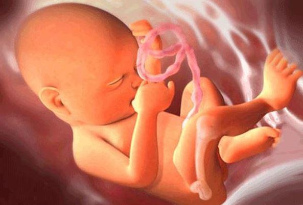 thai-giao-3-thang-giua-phat-trien-thinh-giac-thi-giac-xuc-giac 1.jpg