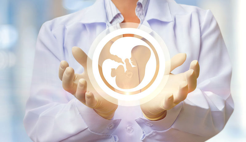 Thai IVF là gì? Tại sao thai IVF hay sinh non? 3